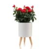 Calla-a vaso autoinnaffiante esterno interno bianco opaco e legno massello finitura rovere 1.5 litri d19xh33 cm