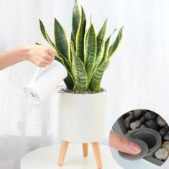Calla-a vaso autoinnaffiante esterno interno bianco opaco e legno massello finitura rovere 1.5 litri d19xh33 cm