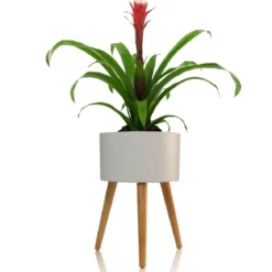 Calla-c vaso autoinnaffiante esterno interno bianco opaco e legno massello finitura rovere 3.5 litri d33xh48 cm