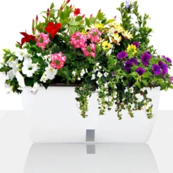 Dhalia big vaso autoinnaffiante per esterno e interno bianco lucido 46.5x22.5xh20 cm