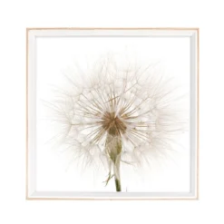 Flowers-b composizione 5 quadri cornice in mdf finitura rovere