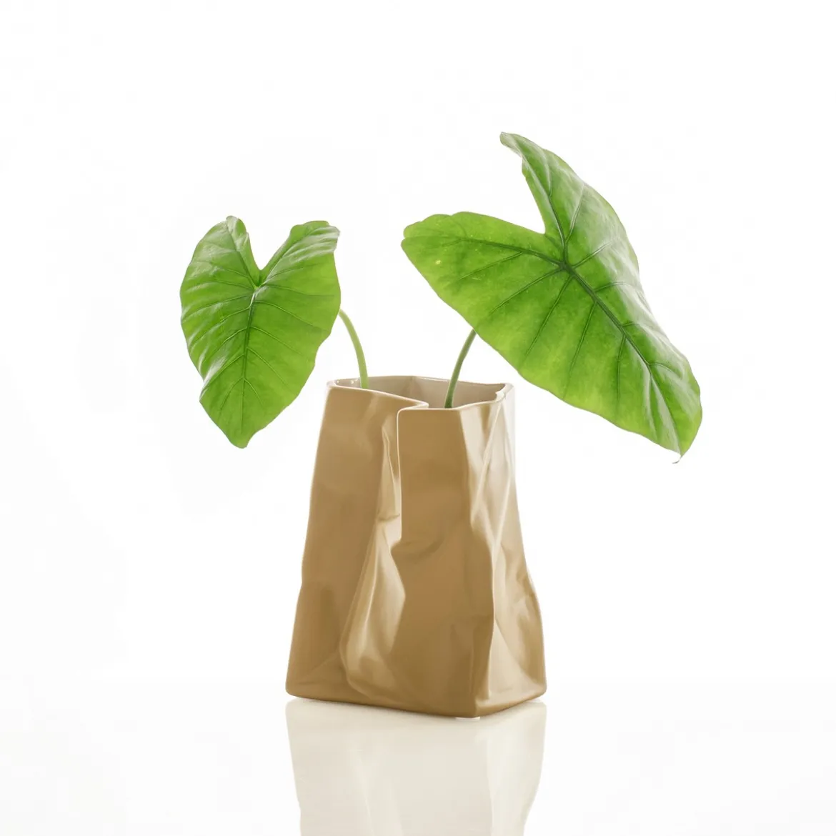 Glauko vaso in ceramica colore marrone chiaro finitura opaca 14x14x18 cm