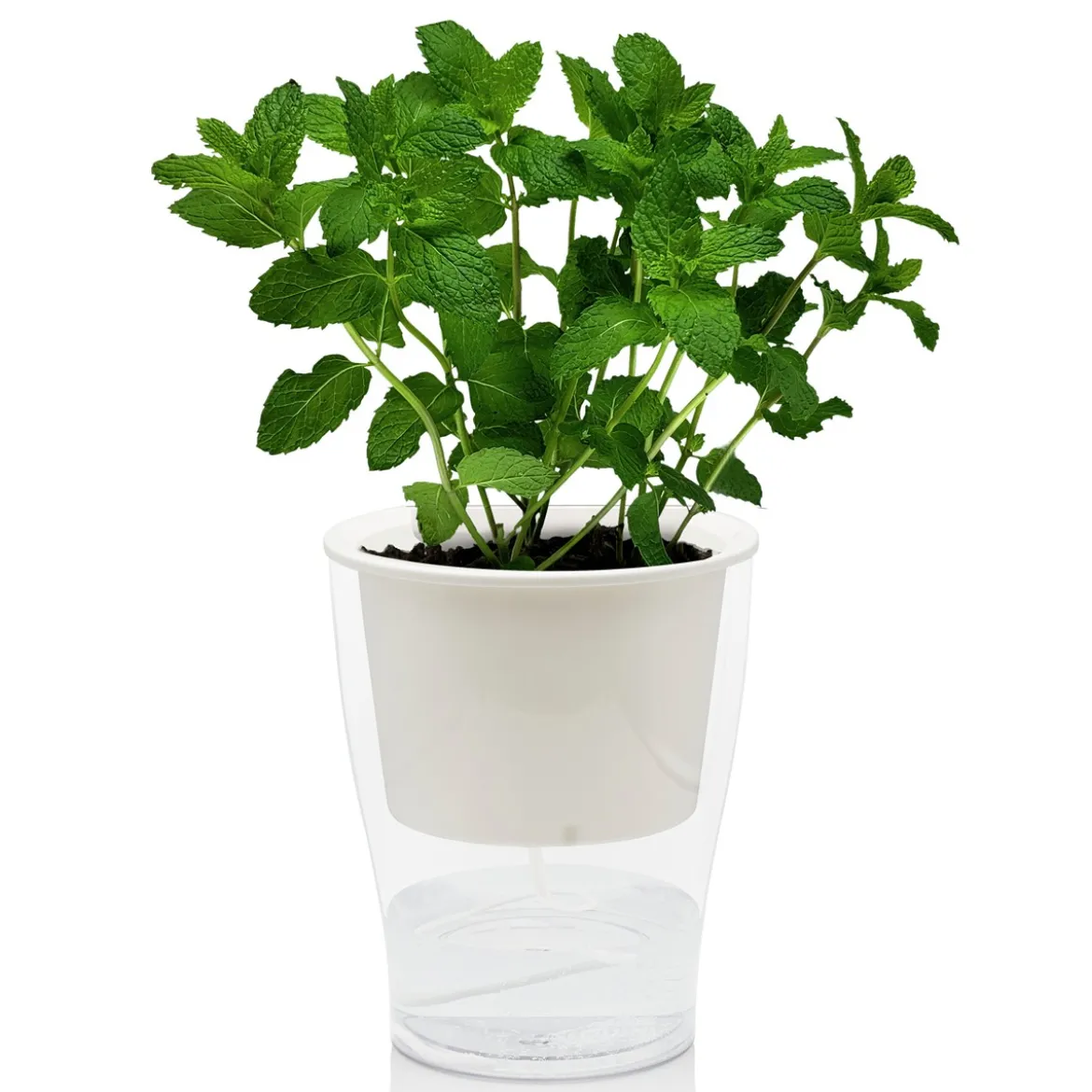 Raffy medium vaso autoinnaffiante per esterno e interno fiordaliso large bianco opaco e trasparente d17.3xh21.2 cm