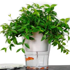 Raffy medium vaso autoinnaffiante per esterno e interno fiordaliso large bianco opaco e trasparente d17.3xh21.2 cm