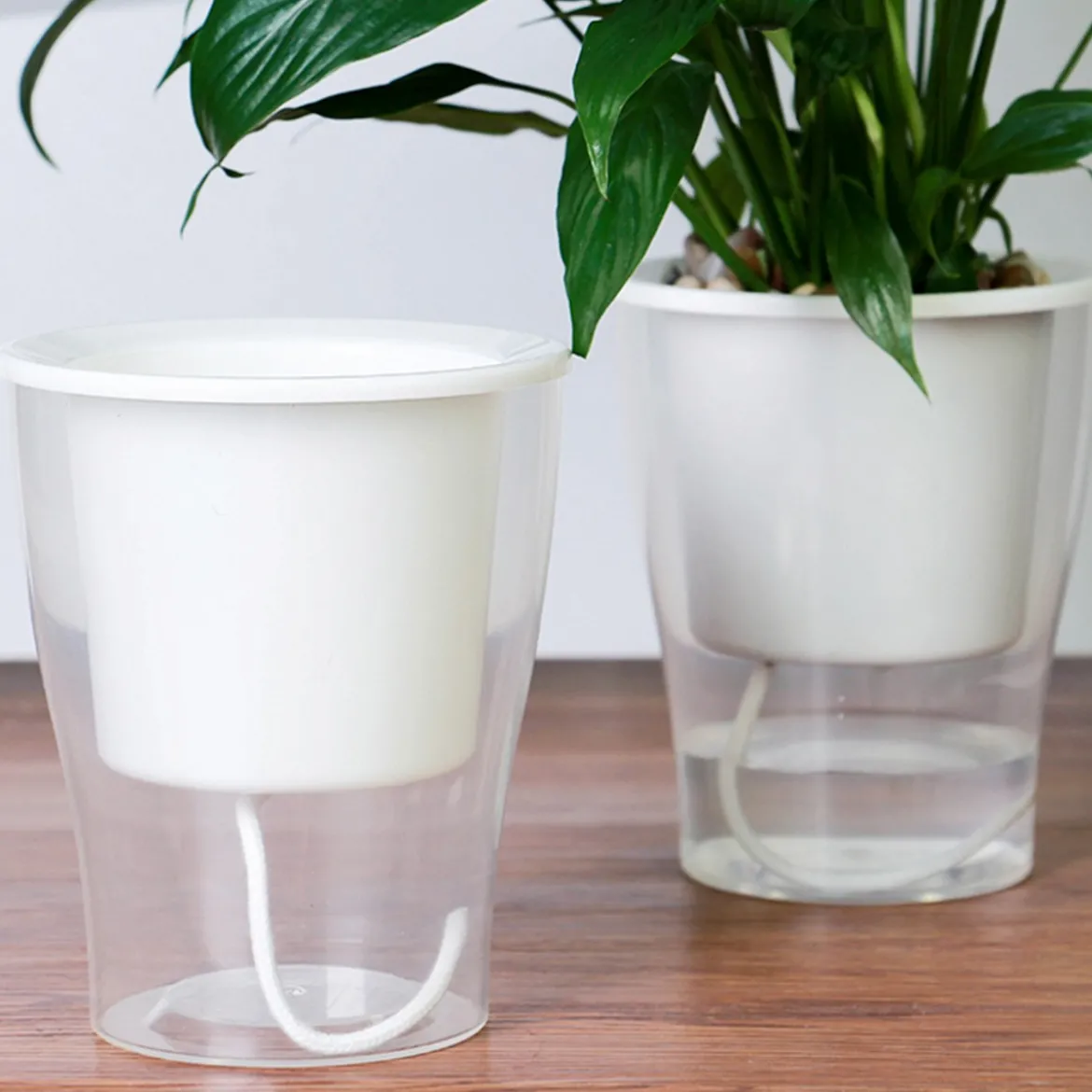 Raffy medium vaso autoinnaffiante per esterno e interno fiordaliso large bianco opaco e trasparente d17.3xh21.2 cm