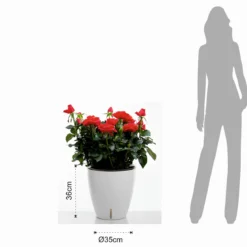 Tulip vaso autoinnaffiante per esterno e interno bianco lucido d35xh36 cm