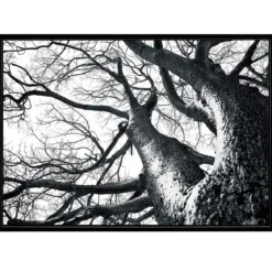 Winter tree quadro stampa su tela h90 l140 p3 cm